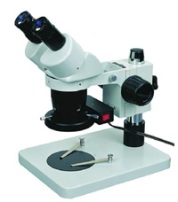 Stereo Microscope